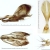 Хвостатка падубовая - Satyrium ilicis